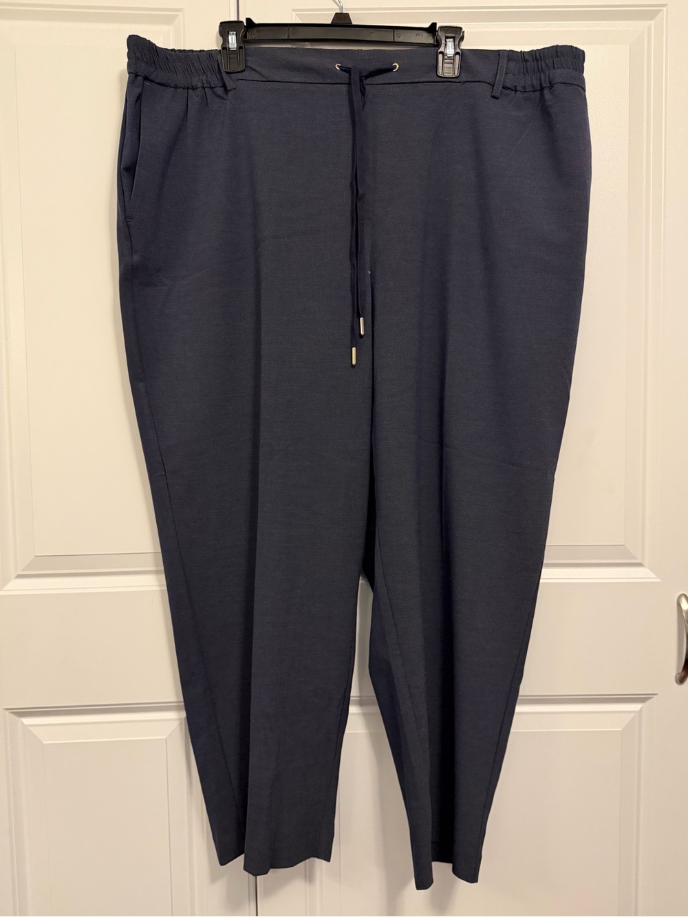 Rachel Zoe Drawstring Pants in Navy Blue